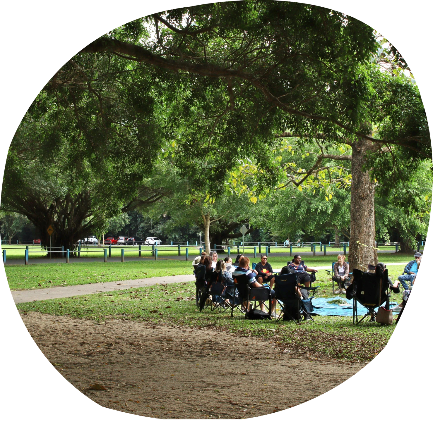 People sitting in a circle of camp chairs under large trees in a park.